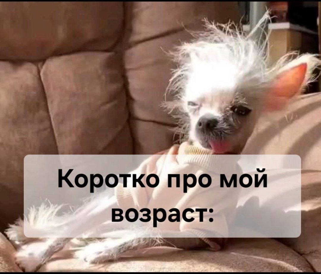 Я не стерва, это нервы© Статусы - 11 октября 2025 в 21:12