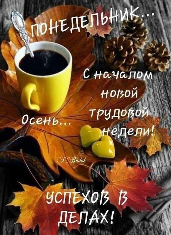 ПРИВЕТСТВИЯ и ПОЖЕЛАНИЯ, открытки на каждый день. - 26 октября 2025 в 22:50