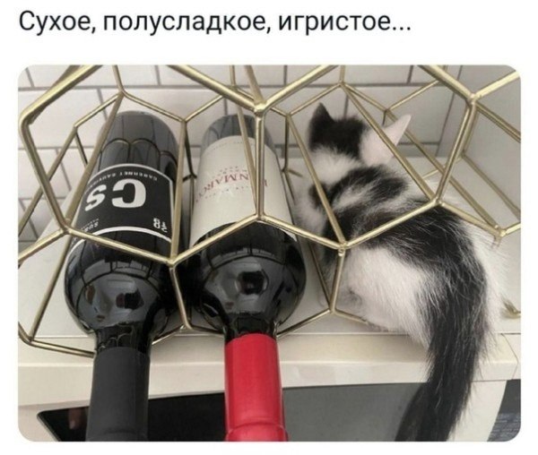   - 22  2025  10:36