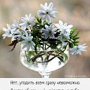 ���� ����, ��������, 63 ���� - ��������� 15 ������ 2026 � ������ ������ ��������