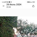  , , 60  -  10  2024    