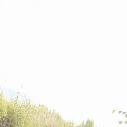 ������, �����, 43 ����