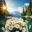 ���� ����, ������ - ��������� 27 �������� 2024 � ������ ������ ��������