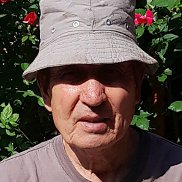 , 71 , 