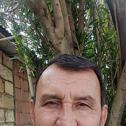 Murad, 54, 
