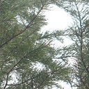 ���� ������, ����-��� - ��������� 8 ���� 2025 � ������ ���� �������� ����������!������� ������������� 11.09.09 �. �� �ջ