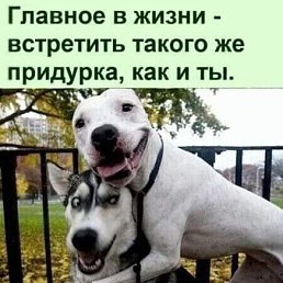 ���� �������, ���������, 53 ���� - ��������� 7 ������� 2026