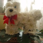 Roman, 58 ���, ������