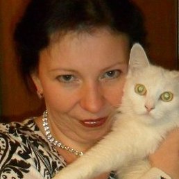 �������, �����-���������, 54 ����