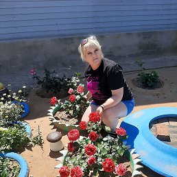 ���� �����, �������, 44 ���� - ��������� 16 ������� 2023