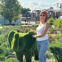 ���� ������, ������, 56 ��� - ��������� 8 �������� 2024