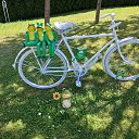 ���� ����, Delmas - ��������� 25 ������ 2026 � ������ ������ ��������