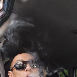 ����, ������, 41 ���