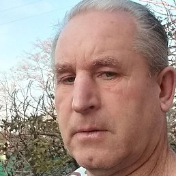 �����, ���������, 49 ���