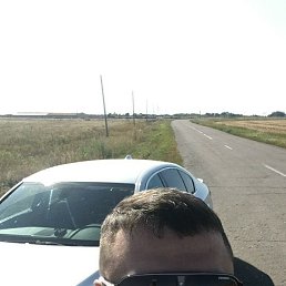 ����, 38 ���, ����������