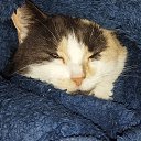 ���� ˺��, ���������, 43 ���� - ��������� 12 ������ 2024 � ������ ���� ����������