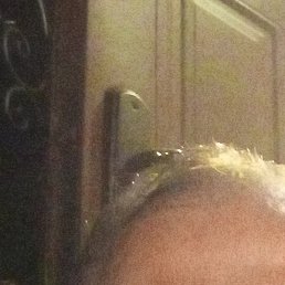 ����, ���������, 39 ���