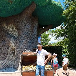 ���, ������, 44 ����