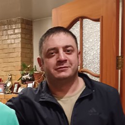 ���� �����, �����������, 41 ��� - ��������� 4 ����� 2024