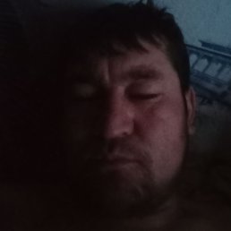 �, ������, 36 ���