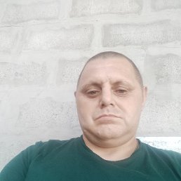 , 41 , --