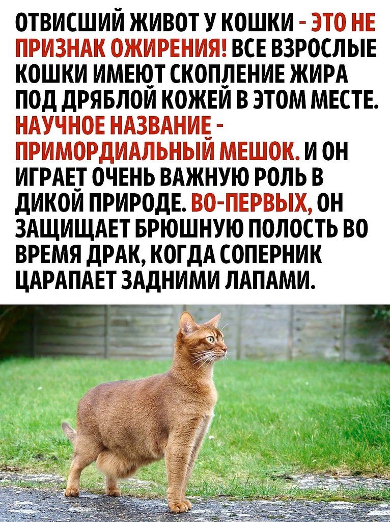     - 2