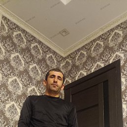 , 29, 