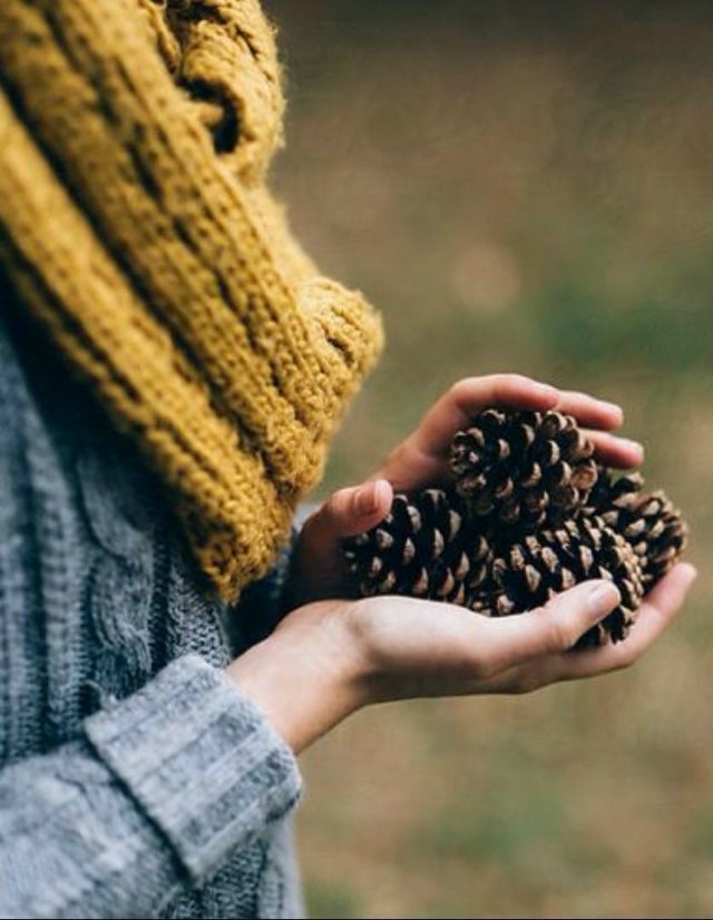  ,    : "    ,     ...