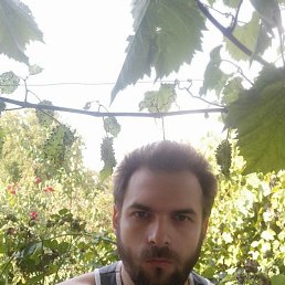 ��������, �������, 36 ���