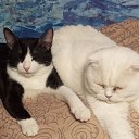 ���� ������, ��������, 48 ��� - ��������� 10 ������� 2026 � ������ ���� ����������