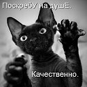 ���� �����, ������ - ��������� 4 ������� 2023 � ������ ���������