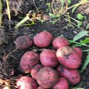 ���� ���������, ������, 70 ��� - ��������� 30 ������� 2024 � ������ ���� ����������