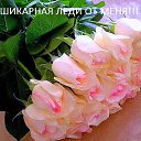 ���� ����, ������ - ��������� 15 ������� 2023 � ������ �������