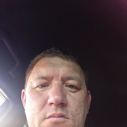 ���� ������ �������, ������, 41 ��� - ��������� 24 ��� 2025