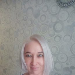 ���� �����, ������, 40 ��� - ��������� 12 ������ 2024