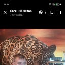���� �������, ������, 35 ��� - ��������� 29 ���� 2026 � ������ ���� ����������