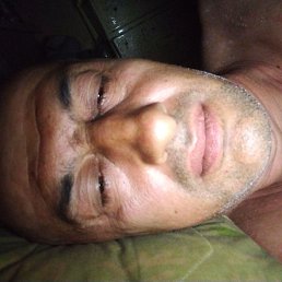 , 42, 