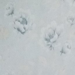 ������, �����-���������, 66 ���