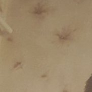 ����, 39 ���, �����