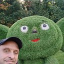 ���� ������, ������, 50 ��� - ��������� 15 ������� 2026 � ������ ���� ����������