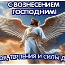 ���� ��������, ������, 42 ���� - ��������� 26 ��� 2026 � ������ ������ ��������