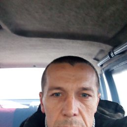 , 43 , 