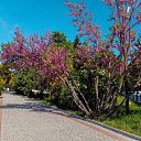 ���� ����, �������� - ��������� 11 ������� 2025