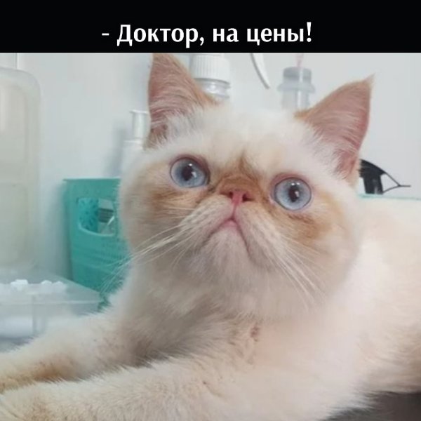 ��� ���� � ����� �� �� - 18 ������� 2025 � 21:33 - 2
