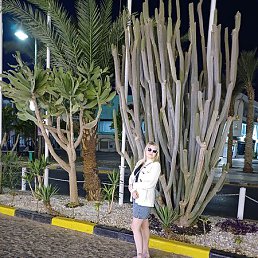 ������, �����, 42 ����