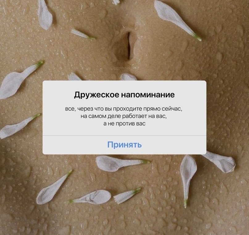 � ��� ��� ����� ������: