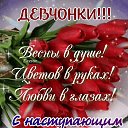 ���� ������, ������������ - ��������� 7 ����� 2026 � ������ ������ ��������
