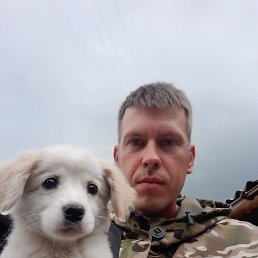, 29 , 