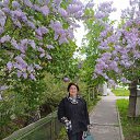 ���� �����, ������ - ��������� 14 ������ 2024 � ������ ���� ����������