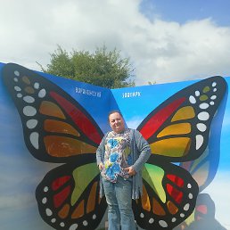 ���� ����, ������, 43 ���� - ��������� 7 �������� 2025